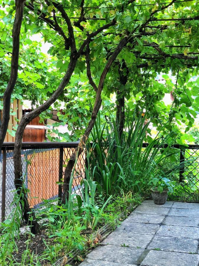Achela'S Guesthouse Borzsomi Kültér fotó