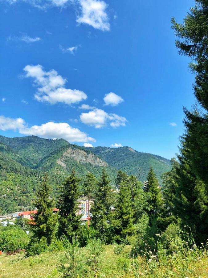 Achela'S Guesthouse Borzsomi Kültér fotó