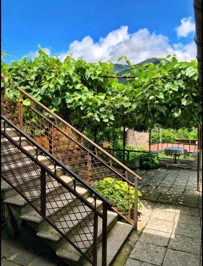 Achela'S Guesthouse Borzsomi Kültér fotó