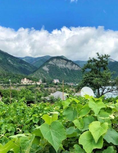 Achela'S Guesthouse Borzsomi Kültér fotó