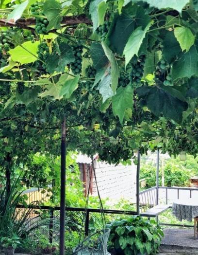 Achela'S Guesthouse Borzsomi Kültér fotó